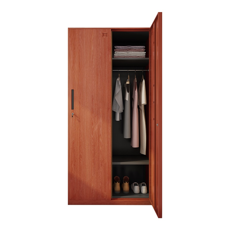 苏彩更衣柜员工柜储物柜办公室衣柜宿舍鞋柜办公柜钢制铁皮柜资料柜转印柜窄边二门更衣柜