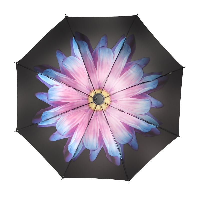 海螺晴雨伞 小黑伞1603