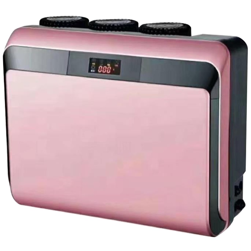 方蓝圆淼（FYLM）直饮机净水器家用 粉色FYLM-RO400A RO反渗透双芯净水机厨下式壁挂式 大通量净饮机