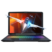 机械师(MACHENIKE) F117-S6C 72%广视角15.6英寸吃鸡发烧游戏本笔记本电脑(i7-8750H GTX1060 6G 8G内存 固态PCI-E 128G+1T)