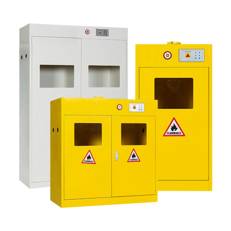 汉诺鑫威气瓶柜单双三瓶气瓶柜实验室气体安全钢瓶柜全钢智能带报警气瓶柜