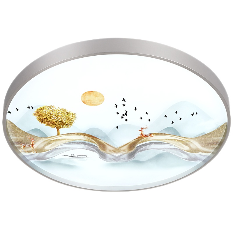轻奢5D喷画吸顶灯卧室圆形led阳台灯简约现代超亮书房走廊过道灯