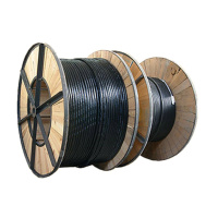 铜芯交联聚乙烯铠装电缆线2.5mm²