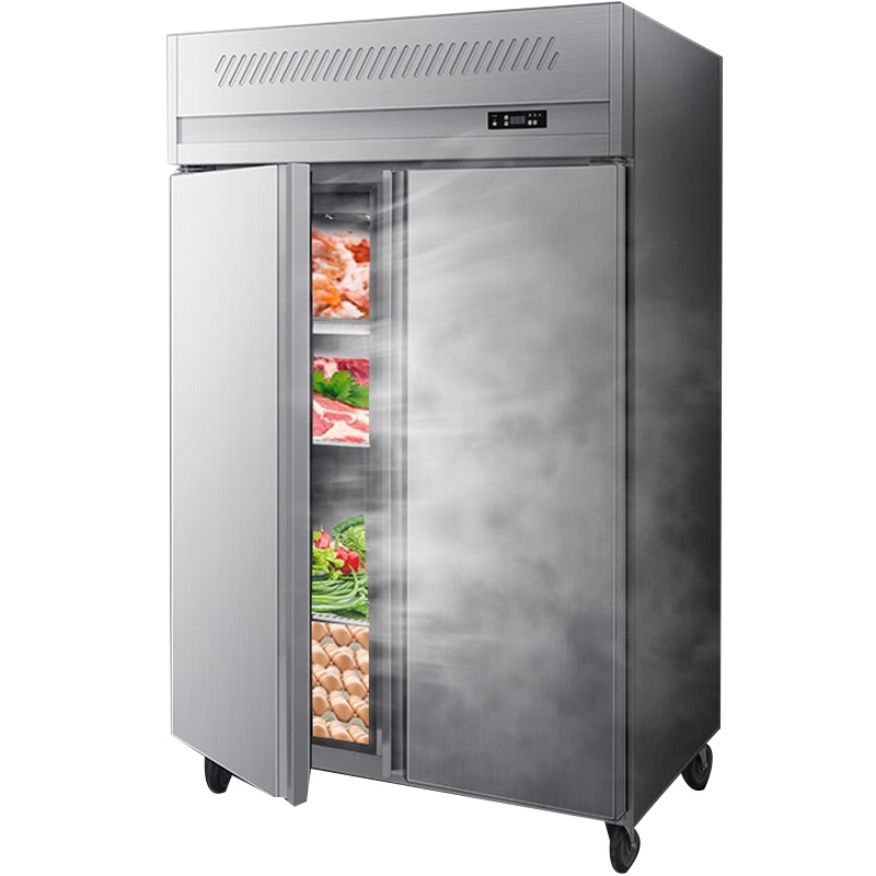 德玛仕(DEMASHI)商用双开门冰柜 立式冷冻 不锈钢冰箱冷柜 厨房髙身雪柜LC1.0L2W 风冷款全冷藏
