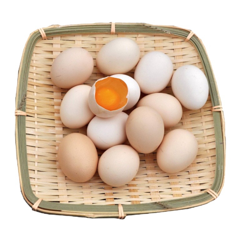 金野 草鸡蛋礼盒40枚*2