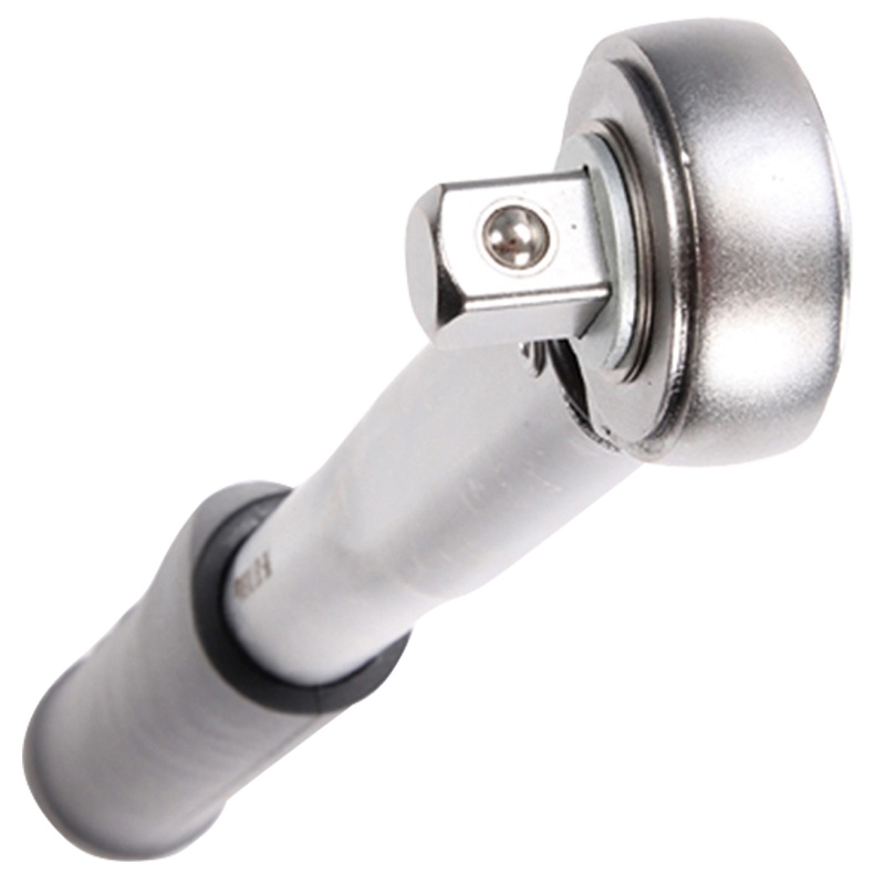 诺霸 扭力扳手 1/2" 'P' 型 20-100Nm 13054 把