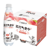 天地精华元气小宝白桃味苏打气泡水480ml*6瓶
