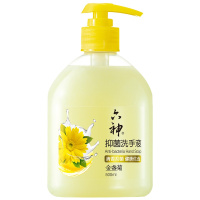 六神 洗手液 抑菌 金盏菊 洗手液 500ml（清洁 滋润）