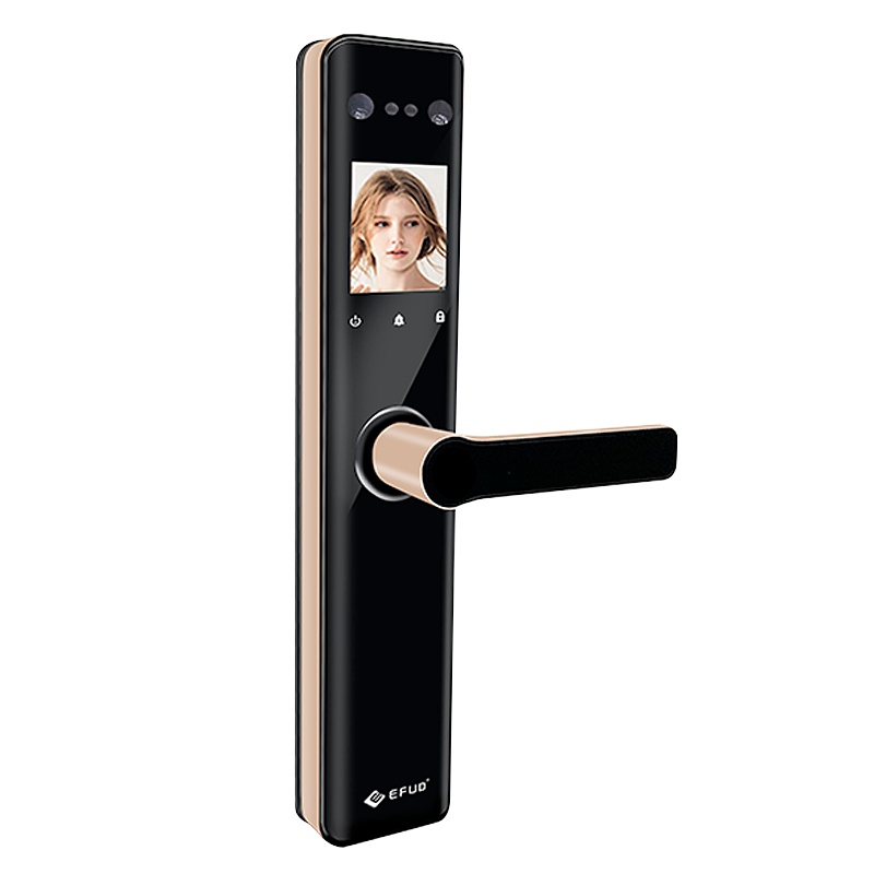 爱而福德(EFUD)E5A人脸识别智能门锁指纹锁密码锁家用全自动智能门锁指纹锁密码锁防盗门锁2.8寸彩屏内置摄像头香槟金