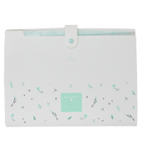 得力风琴包A4学生用多层文件夹袋手提卷子分类收纳盒女试卷夹多功能大容量透明高中生插页资料册分页72363LV
