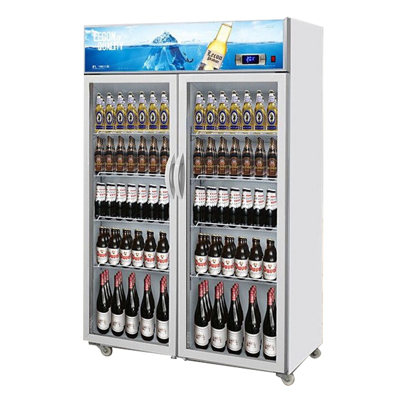 乐创(lecon)饮料柜展示柜冷藏柜立式冰柜商用冰箱饮品啤酒蔬菜水果保鲜冷柜鲜花柜陈列柜双门上机星光蓝风冷800L