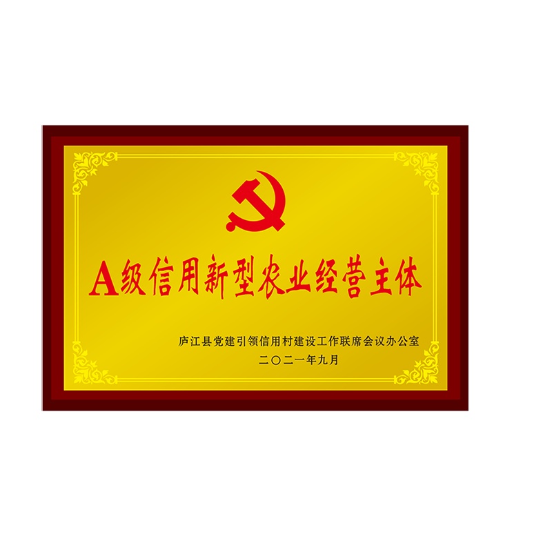 徽源昇KL——758先进乡镇木制托奖牌板 标示奖牌板 木质荣誉牌板