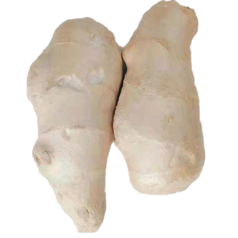 新鲜生姜老姜3斤大黄姜山东特产大姜姜块月子姜除湿低价无硫熏山东大姜生姜老姜大块老姜大黄姜土姜新鲜带泥