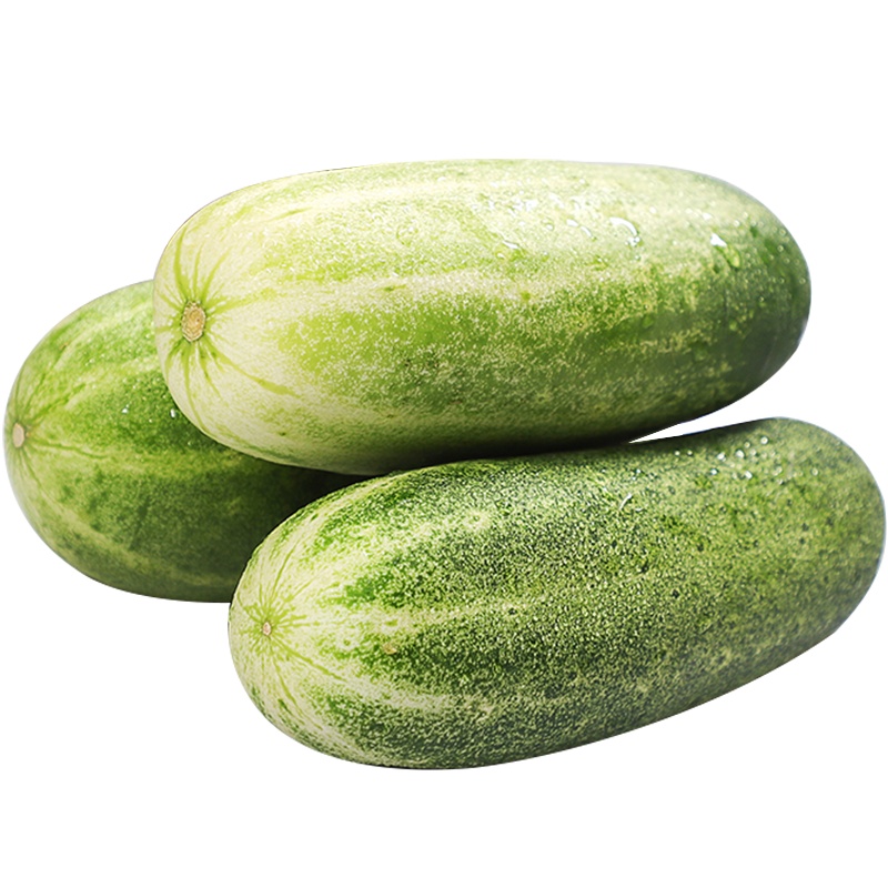 凌云农家自种黄瓜新鲜5斤