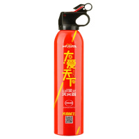 FlameFighter(火焰战士)车载灭火器汽车用小型便携家用小车轿车干粉消防器材年检520g