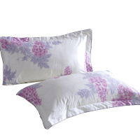 恒源祥纯棉枕套全棉枕芯套单人全棉成人学生宿舍印花枕头套一对装