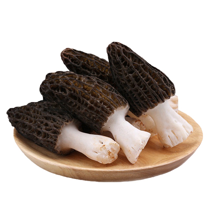 廣元堂 贵州新鲜羊肚菌 1公斤装 顺丰速运 贵州特产新鲜美味