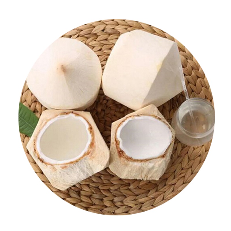 海南带皮青椰子 5个装 新鲜水果 陈小四水果