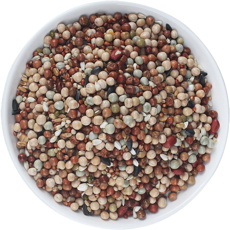 无玉米幼鸽粮鸽粮鸽子饲料白豌豆信鸽赛鸽种鸽营养粮食2000g