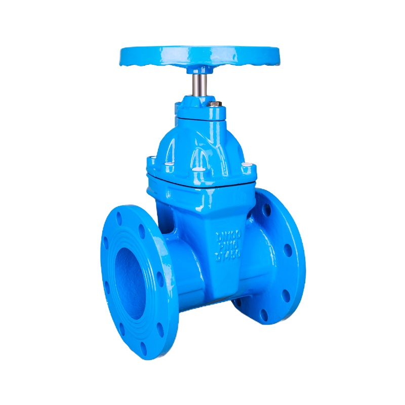 法兰盘闸板阀 DN110