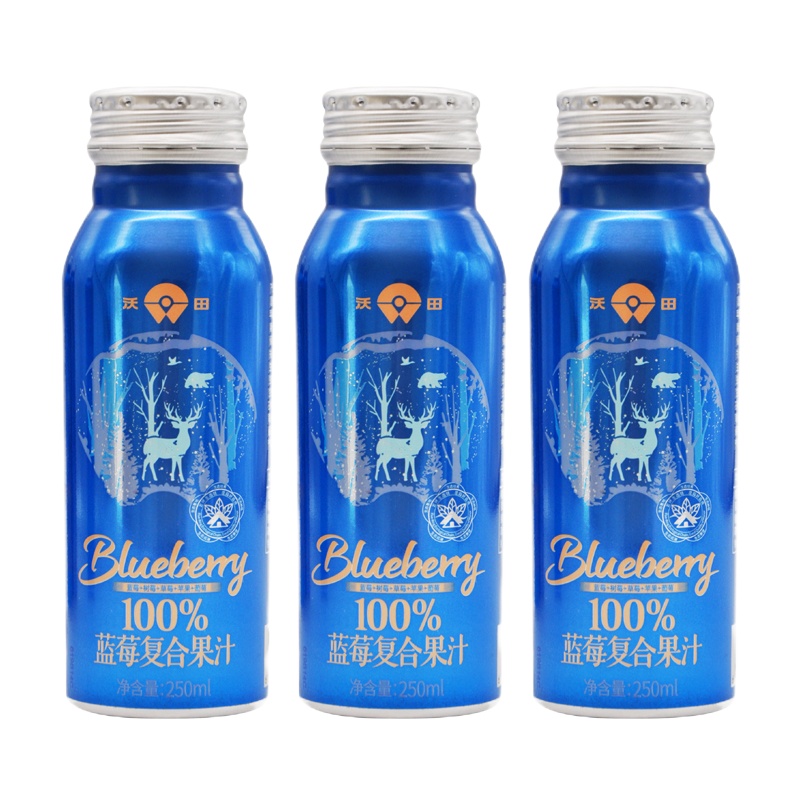 沃田(W O T I A N)100%蓝莓复合果汁250ml*12