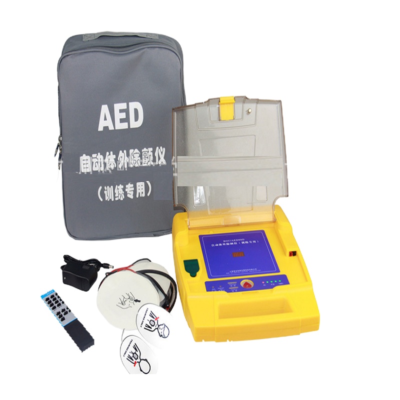 蓝蝶(Blue butterfly) 教学模具 AED 300*280*100mm