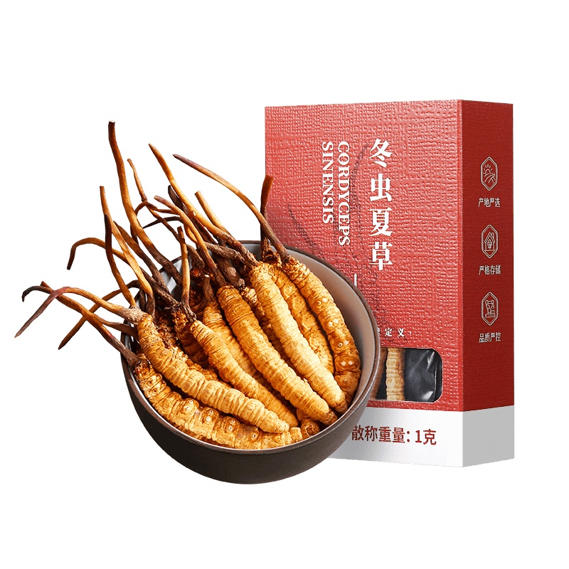 杞里香冬虫夏草正品青海虫草干货1克4根/克无断草礼盒酒包装