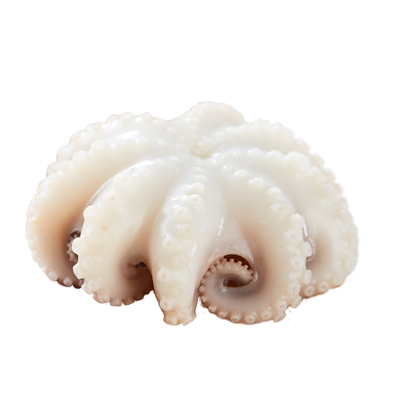 新鱼港 冷冻小八爪鱼250g 海鲜水产