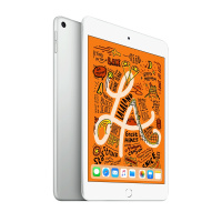 2019款 Apple iPad mini5 7.9英寸 平板电脑(64GB WLAN版 MUQX2CH/A 银色)