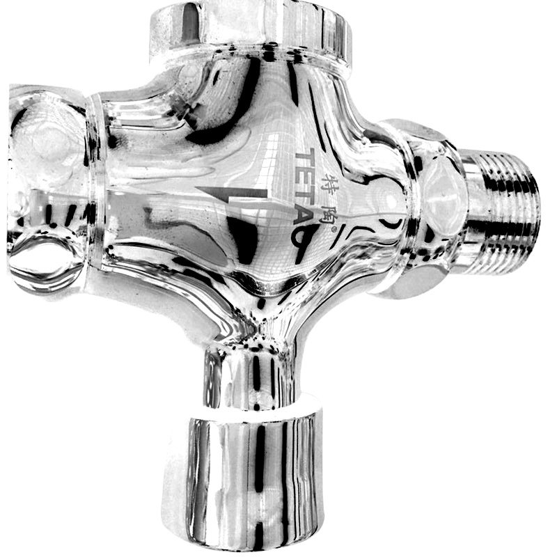 特陶(TETAO)大便冲洗阀 TT29808 1只