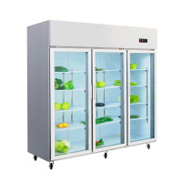 雪村(Xuecun) 1250L大三门 商用展示柜 立式陈列柜 冷藏柜 不锈钢 商用展示柜 冰柜CFR-60B3