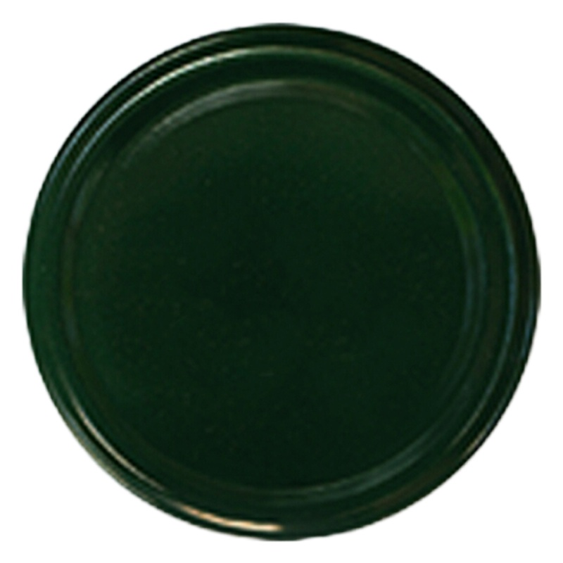 TRW 汽车专用油漆军绿色 3L