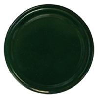 TRW 汽车专用油漆军绿色 3L