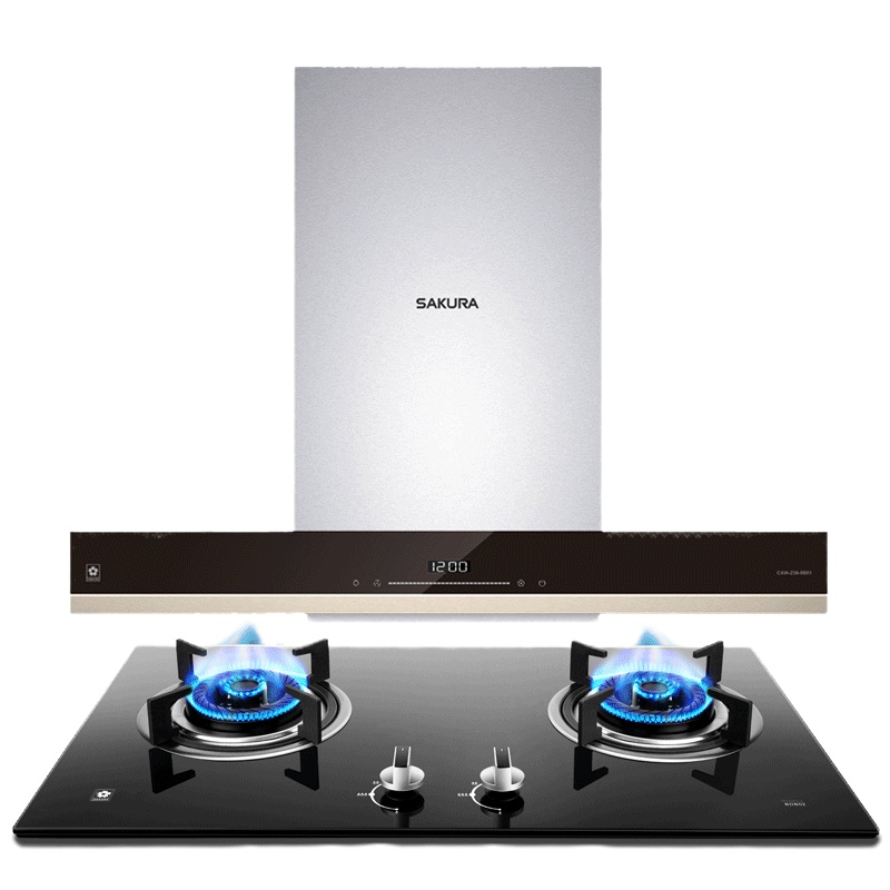 樱花(SAKURA)烟灶套餐 欧式油烟机玻璃面板燃气灶双灶具厨电烟灶套装8B01+BDB02天然气