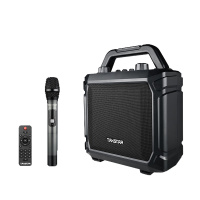 得胜(TAKSTAR)WDA-500 广场舞音响 户外便携式音响 无线蓝牙拉杆音箱 大功率带无线UHF麦克风扩音器