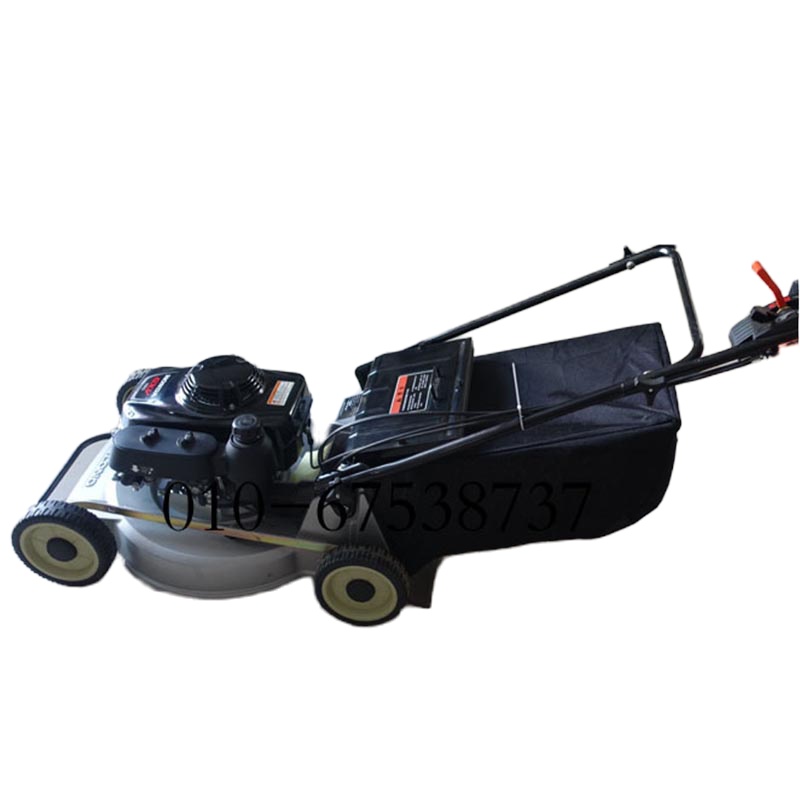 大隆216自走手推打草机修剪机剪草机草坪机园林机械