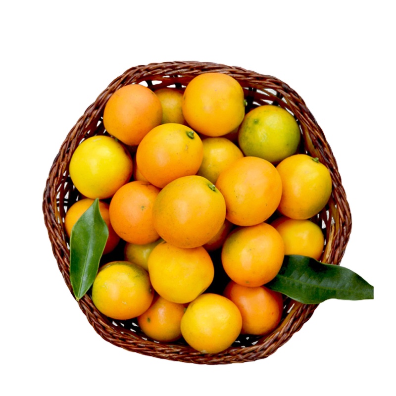 [五个农民]融安脆皮金桔3斤尝鲜价混装(大中小果各一盒)糖度20超甜金桔滑皮小金橘现摘现发