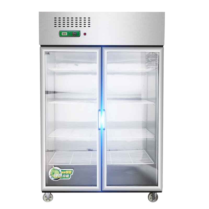 乐创(lecon) 商用四门六门冰柜冷柜立式商用冰箱保鲜柜冷藏柜冷冻柜不锈钢展示柜 双门全冷藏(玻璃门)
