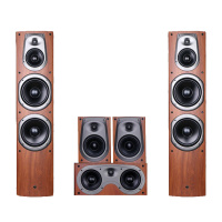 Hivi/惠威 rm600MKII 音箱一只 家庭影院家用音响套装客厅5.1木质音箱