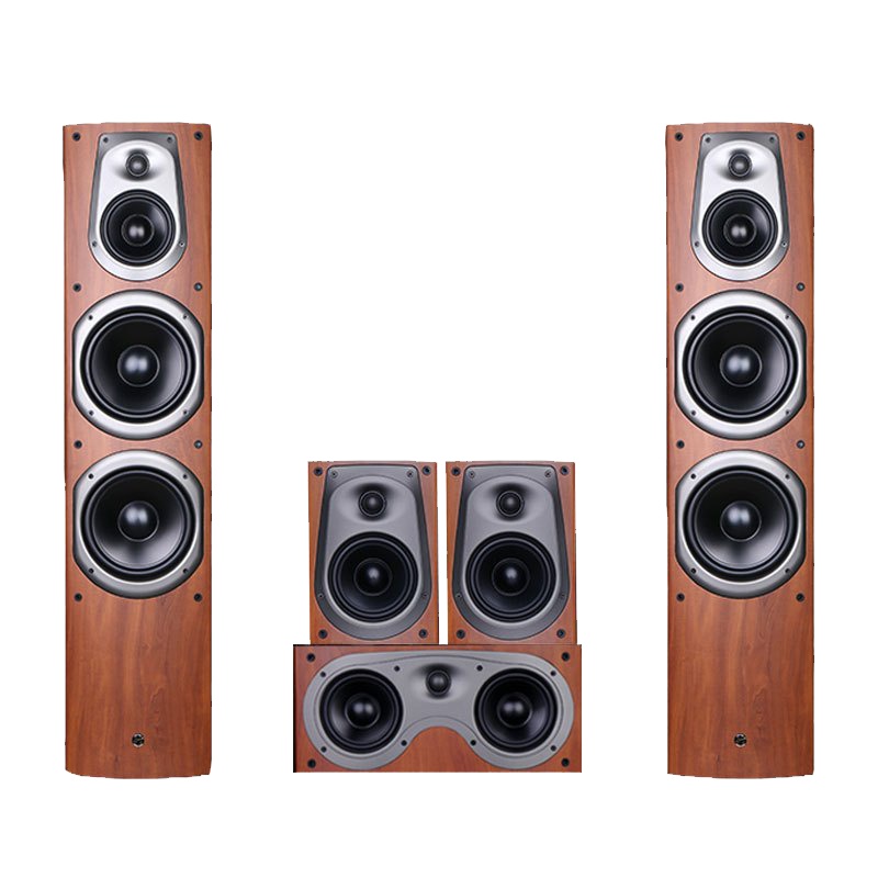 Hivi/惠威 D500家庭影院5.1家用客厅音响套装木质音箱