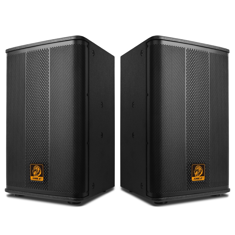 狮乐(SHILE)BX-505专业舞台10英寸音响大型会议室KTV包房户外活动婚庆音箱大功率140W