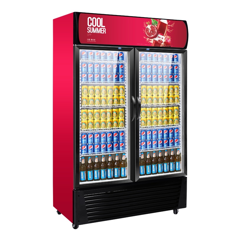 飞天鼠(FTIANSHU) 展示柜饮料柜商用冰柜超市冰箱冷藏柜保鲜柜双门直冷下机组