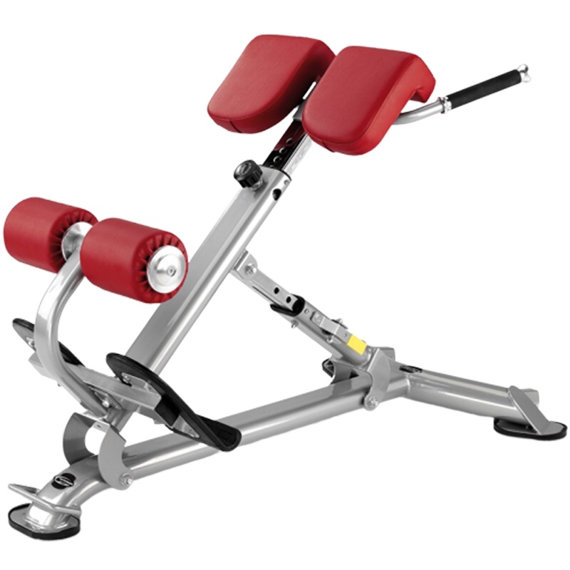 必艾奇(BH) 训练凳 平凳可调式哑铃椅 卧推器 进口商用 举重床 腹肌板 L805背肌训练椅