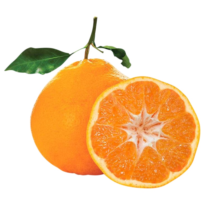 波得 四川眉山市丹棱县粑粑柑 柑橘 5斤大果(75-85#)