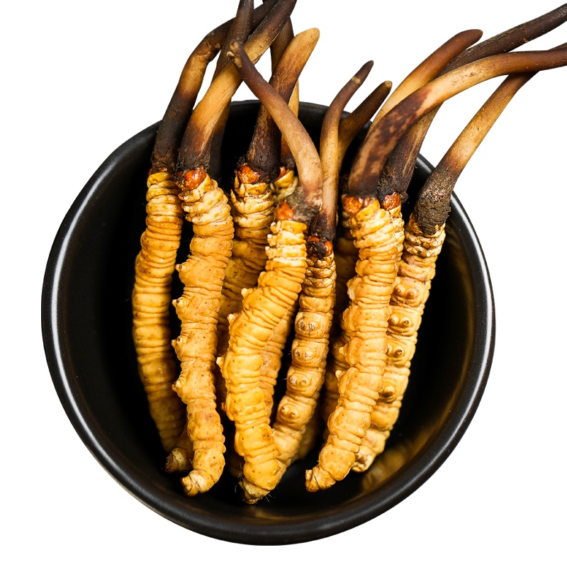 [顺丰空运直达]色季拉西藏那曲冬虫夏草新鲜虫草高海拔虫草5根/克15克装