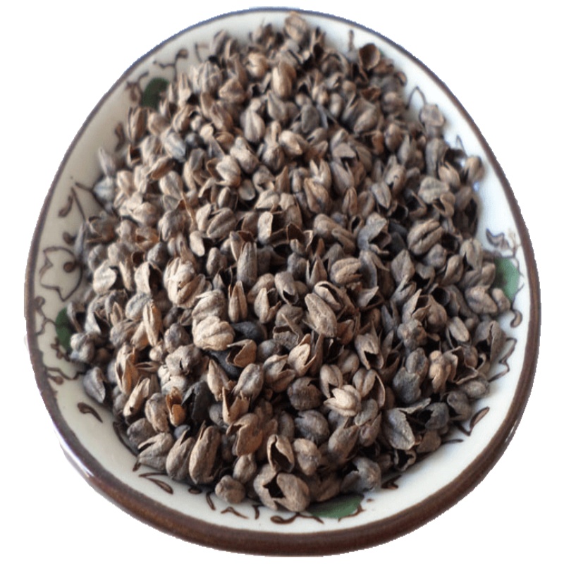 家柏饰(CORATED)荞麦皮散装荞麦枕头荞麦枕头成人芯料枕芯/枕头