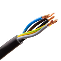 津成 橡套线 规格:R-YZ(300/500V) 2*4 95米/卷