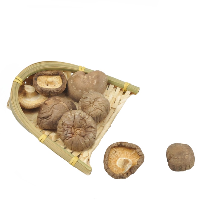 民华黑珍 金钱菇250g