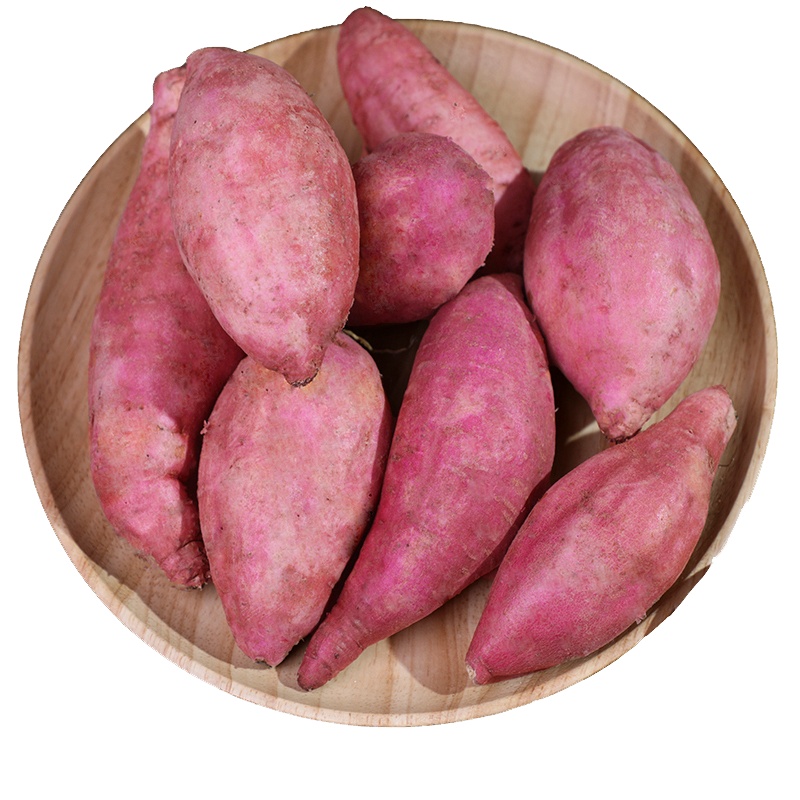 [官方溯源 海南直发]海南澄迈桥头地瓜 5斤大果礼盒装 (10-20个) 新鲜番薯 农家板栗红薯