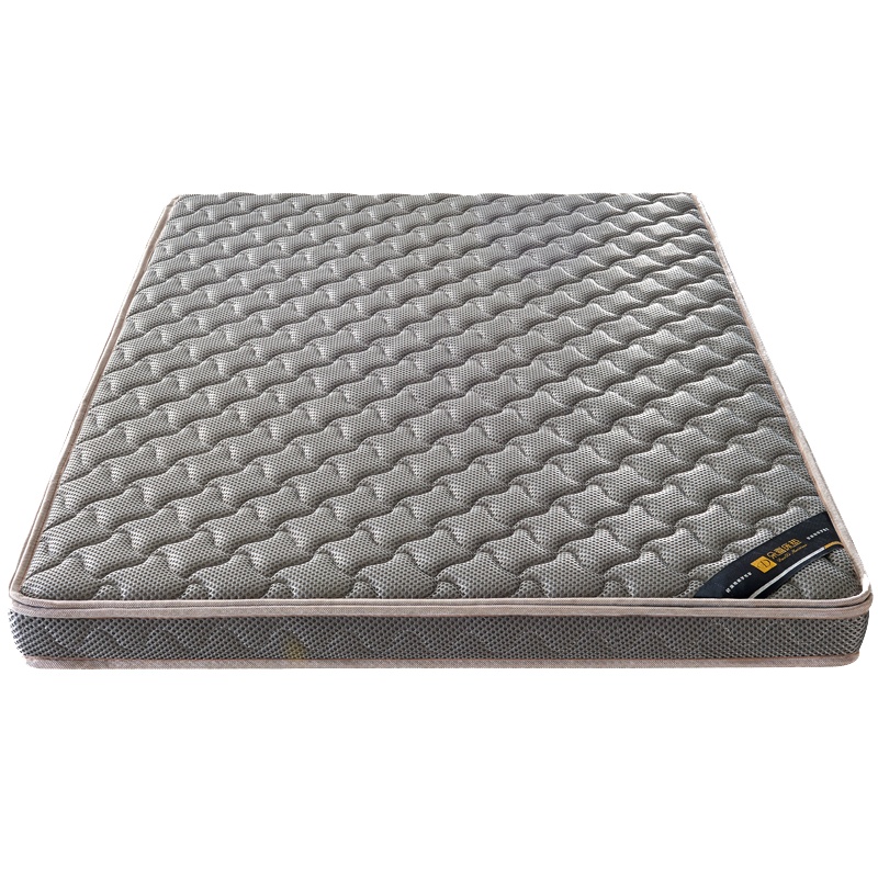 [田珍]床上用品优质环保椰棕垫子经济型软硬两用